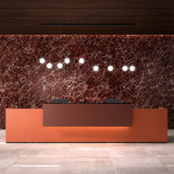 basic C Reception system | Counters | werner works