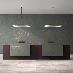 basic C Reception system | Counters | werner works