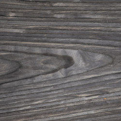 Reconstituted veneer CMG | Wall veneers | CWP Coloured Wood Products
