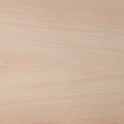 Reconstituted veneer CN | Wall veneers | CWP Coloured Wood Products