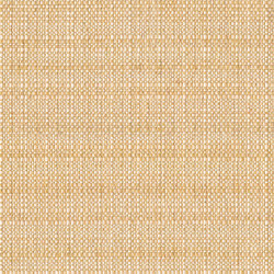 Santa Fe MD556B02 | Upholstery fabrics | Backhausen