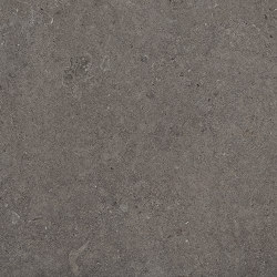 MaPierre Noble Noir | Material limestone | EMILGROUP