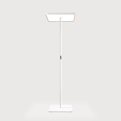 Caleo Neo S4 | Floor | Free-standing lights | Lightnet