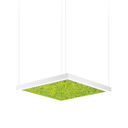 Acousto Square | Suspended lights | Intra lighting