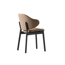 Holly | Chaises | Calligaris