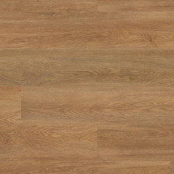 Floors@Home | 20 PW 3066 | Synthetic panels | Project Floors
