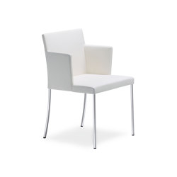 Jason Lite Chair | Sillas | Walter Knoll