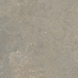 Arkystile | Fossil 60x60 | Ceramic tiles | Marca Corona