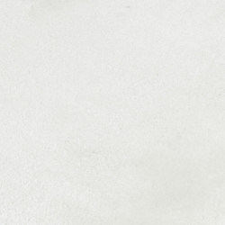 Carpets / Rugs | Floor