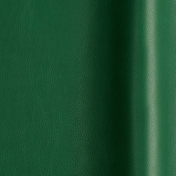 Madison 20730 | Colour green | Futura Leathers