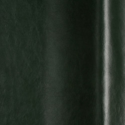 Porto Alloro | Natural leather | Futura Leathers