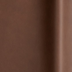 Touché 02030 | Natural leather | Futura Leathers
