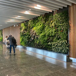 Indoor Vertical Garden | Arlanda Airport |  | Greenworks