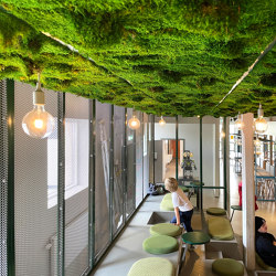 Indoor Moss | Moss ceiling | Wall decoration | Greenworks