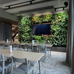 Indoor Vertical Garden | SEK |  | Greenworks