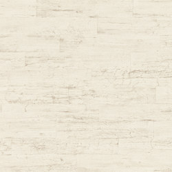 Curiosity 537000 | Wall coverings / wallpapers | Rasch Contract