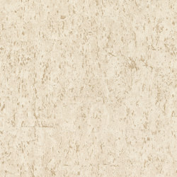Curiosity 538328 | Wall coverings / wallpapers | Rasch Contract