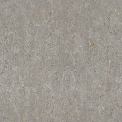 Curiosity 538335 | Wall coverings / wallpapers | Rasch Contract