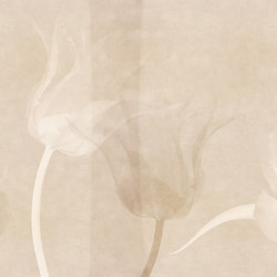 Tulip | Tulip Trace | Wall coverings / wallpapers | Ambientha