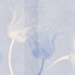 Tulip | Tulip Voile | Wall coverings / wallpapers | Ambientha