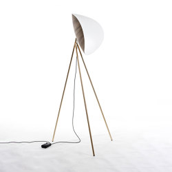 Infinity Brushed Gold&Walnut | Free-standing lights | Hind Rabii