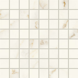 Marvel X Calacatta Apuano Mosaico Matte | Shape square | Atlas Concorde