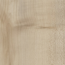 Oulanka Birch | Wood panels | Pfleiderer