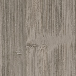 Bosco Pine | Wood panels | Pfleiderer