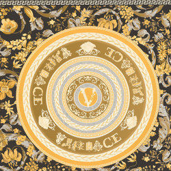 Versace V | Wallpaper 387055 | Wall coverings / wallpapers | Architects Paper