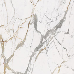 Marble Eternal Gold B | Ceramic panels | FLORIM