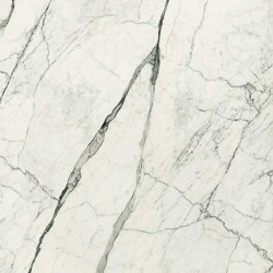 Marble Eternal White A | Ceramic panels | FLORIM