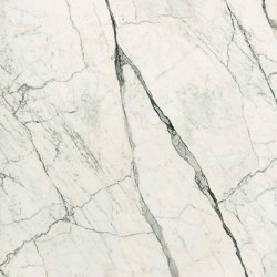 Marble Eternal White B | Ceramic panels | FLORIM