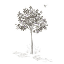 Arbustes Figuier Gris | Revêtements muraux / papiers peint | ISIDORE LEROY