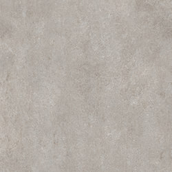 Stone Fossil grey | Ceramic panels | FLORIM