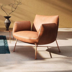 Jalis Club Easy Chair on a Fixed Wire Frame | Armchairs | COR Sitzmöbel