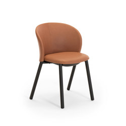Daisy | Chairs | Zanotta