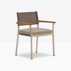 Guinea 3695 | Chairs | PEDRALI