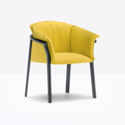 Lamorisse Wood 3687 | Chairs | PEDRALI