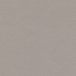Montage | Silver Birch | Upholstery fabrics | Ultrafabrics
