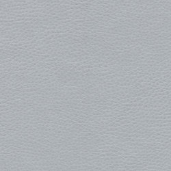 Montage | Gull | Upholstery fabrics | Ultrafabrics