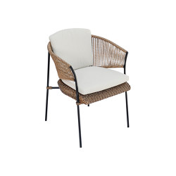 Gabrielle Dining Armchair | Chairs | cbdesign