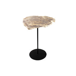 Petrified Pole Table D40 H75 | Side tables | cbdesign