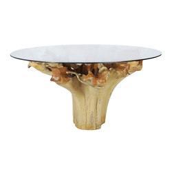 Root Dining Table D140 | Dining tables | cbdesign