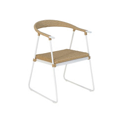 Sofia Dining Armchair | Chairs | cbdesign