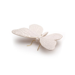 Asian nude butterfly | Oggetti | Mambo Unlimited Ideas