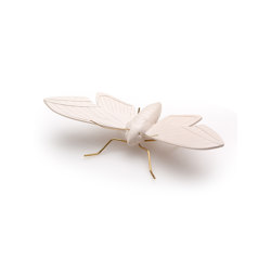 Elephant nude butterfly | Living room / Office accessories | Mambo Unlimited Ideas