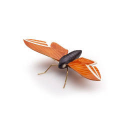 Elephant orange butterfly | Objekte | Mambo Unlimited Ideas