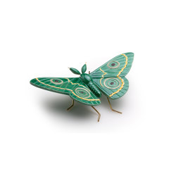 Peacock green butterfly