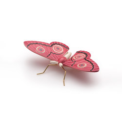Peacock pink butterfly | Objekte | Mambo Unlimited Ideas