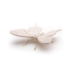 Swallow nude butterfly | Objekte | Mambo Unlimited Ideas